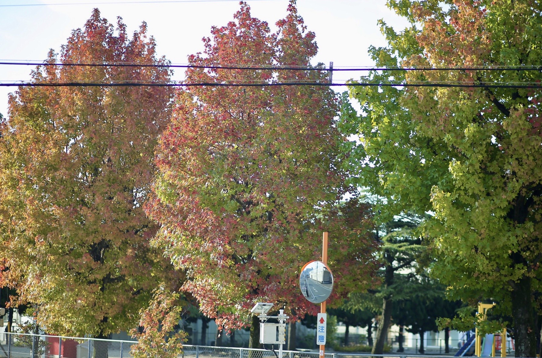 033D9227-3EBA-4D34-982B-C3BC03547E49.jpeg