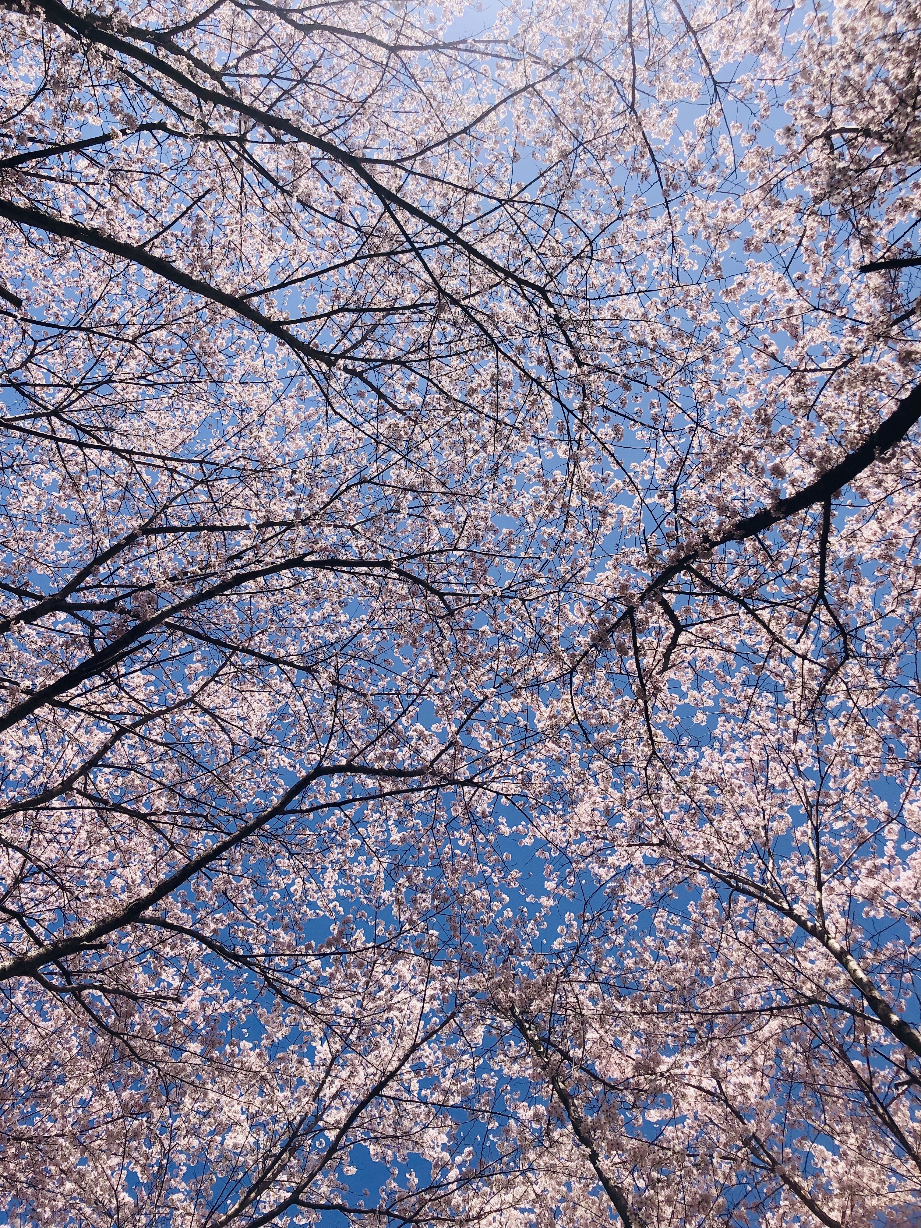 084A8A43-A782-487B-9750-3ACD47BC0E42.jpeg