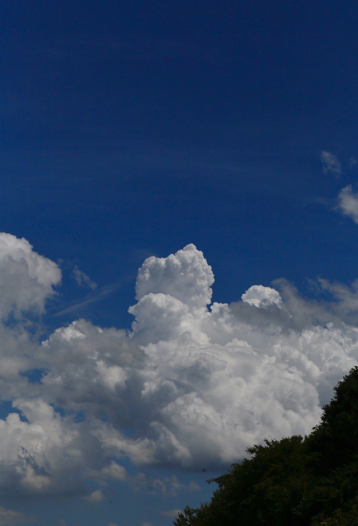 0E05B033-9BDC-48CD-97DE-036254B0C27F.jpeg