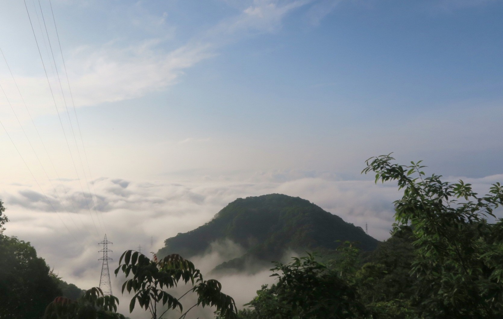 10A1551B-D144-46D6-A188-5536B4582142.jpeg