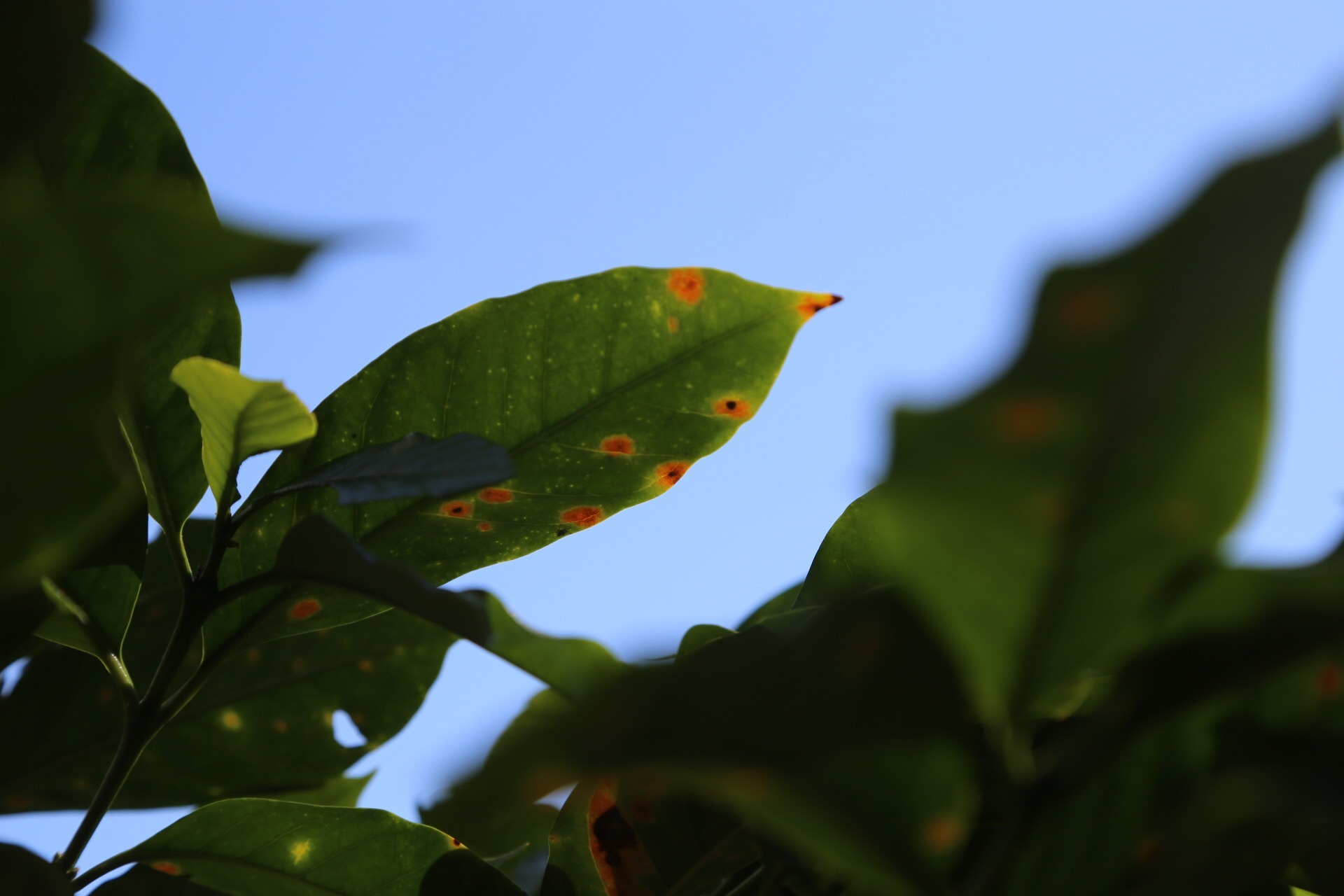 1215479A-B04D-4FE3-AF55-A3FFB661E39F.jpeg