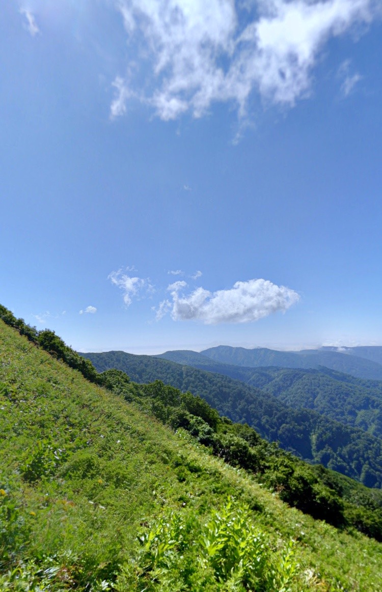 15EE600F-9809-47F9-90F0-0ACF211E330D.jpeg