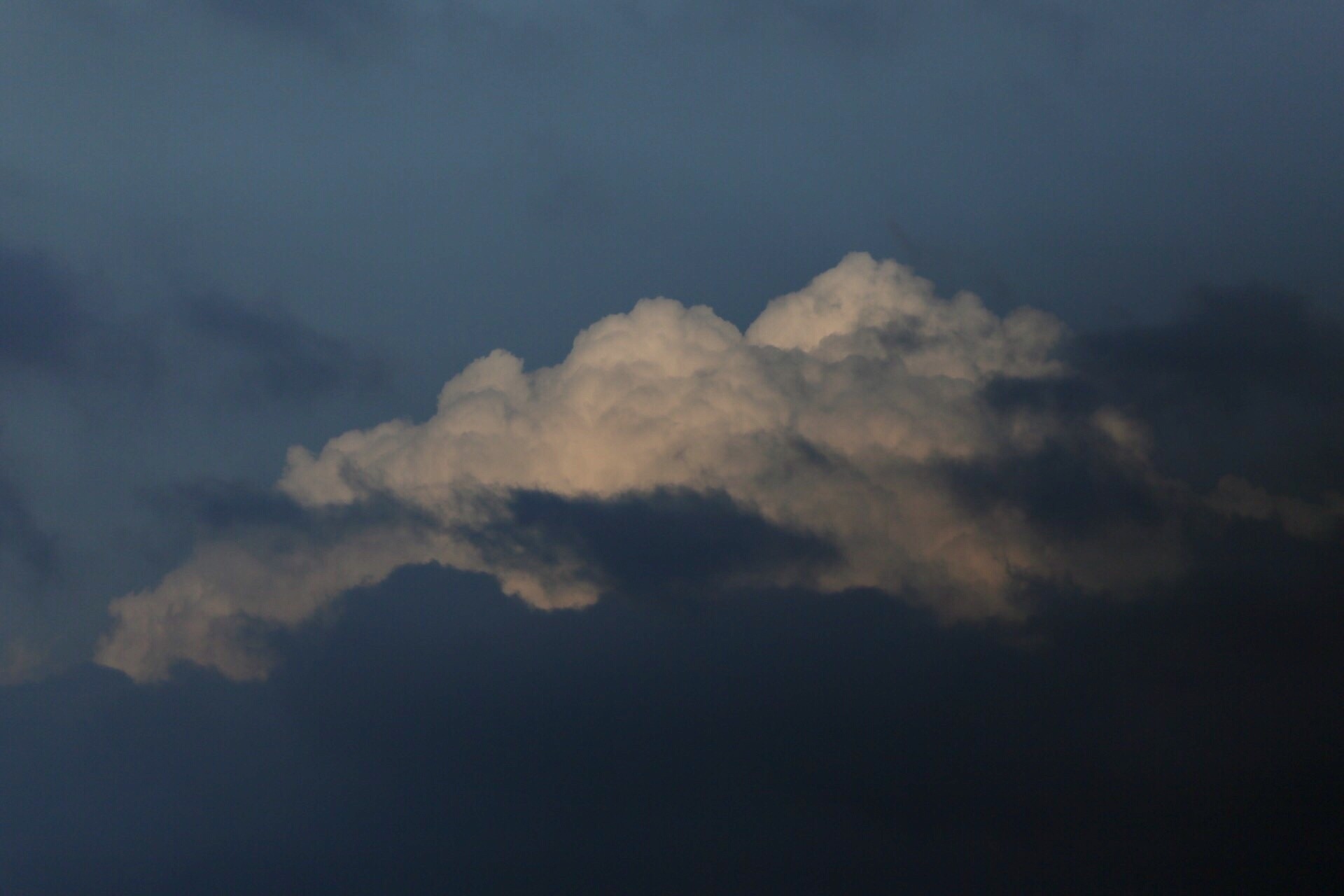175799CC-AE8C-4C97-A016-6B68B4D03938.jpeg