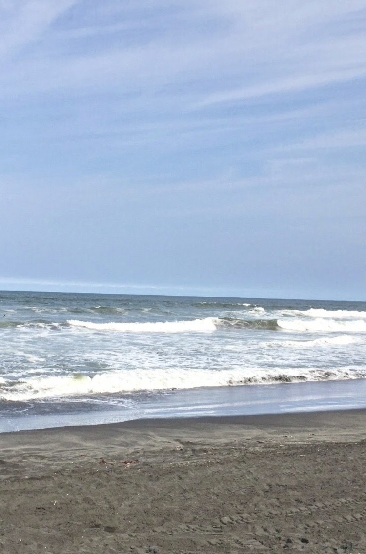 186395D5-7AFF-4575-B595-DE994BF76DB7.jpeg