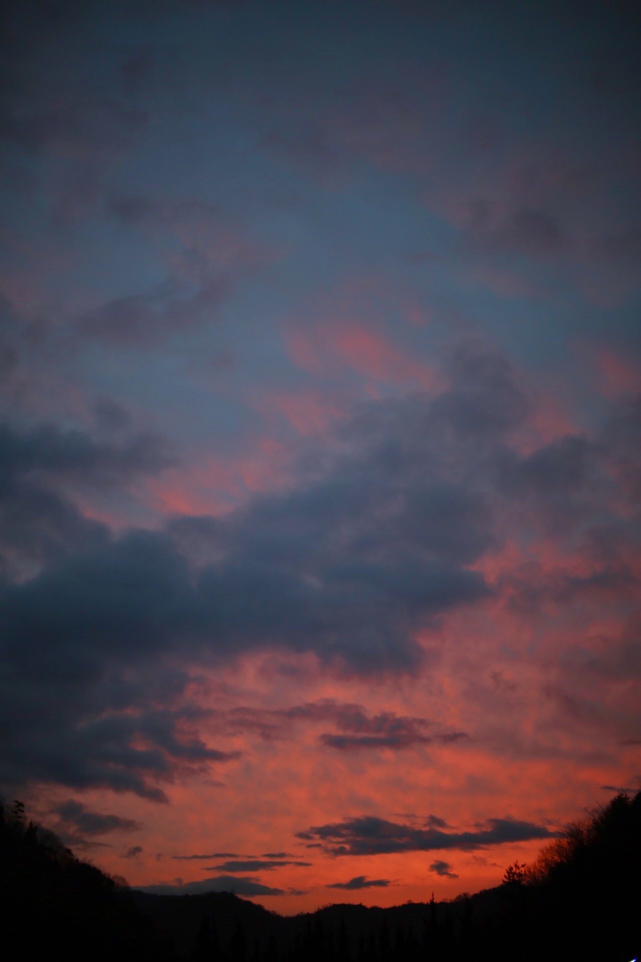 18CD7EAD-DF4B-4C18-B700-D4C3E8981C08.jpeg