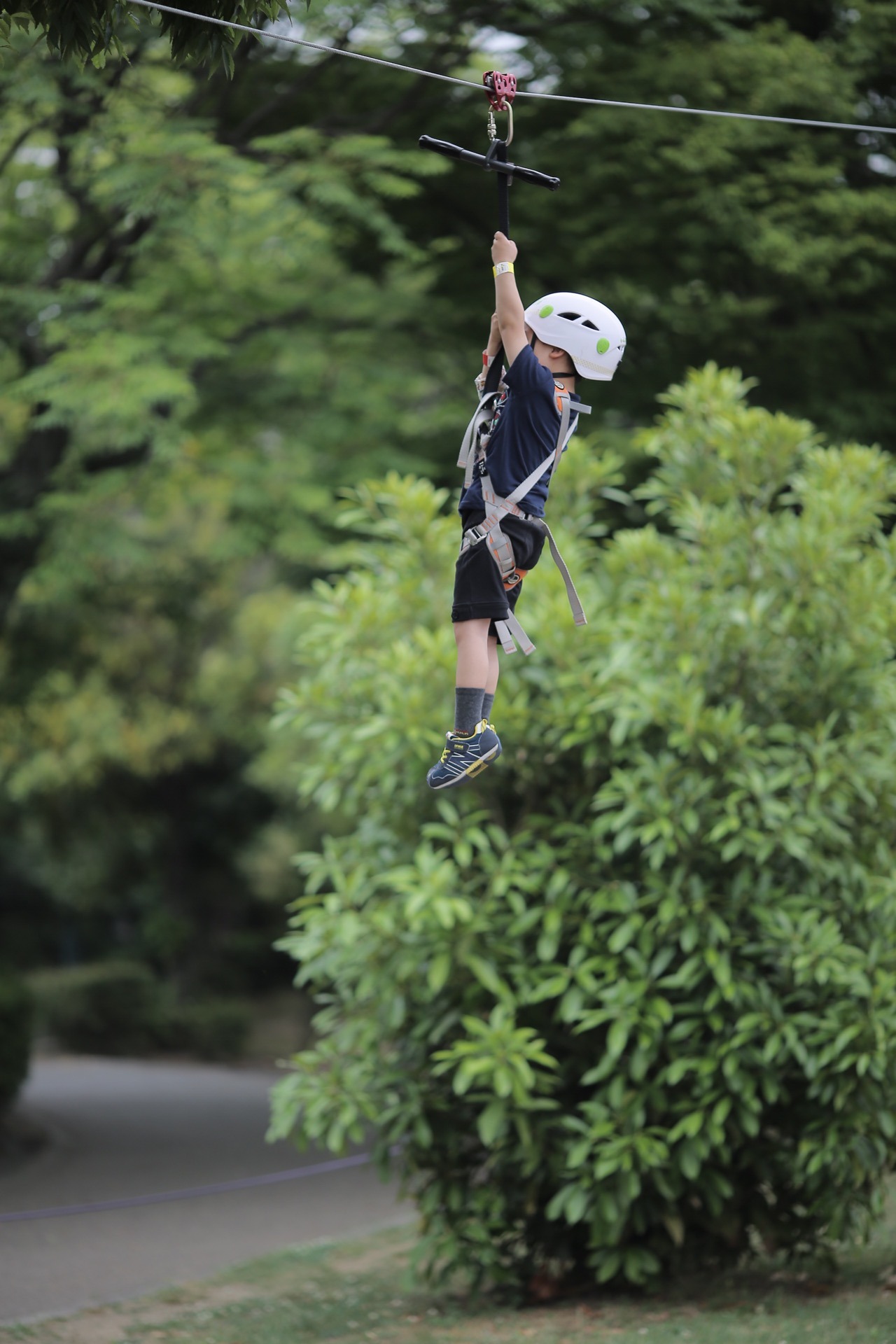 1B342F41-006B-4504-8482-ACAC7E7D4428.jpeg