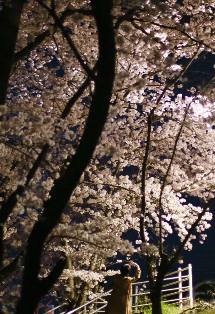 1C900E71-B70A-4D7A-9D6C-353423CC061B.jpeg