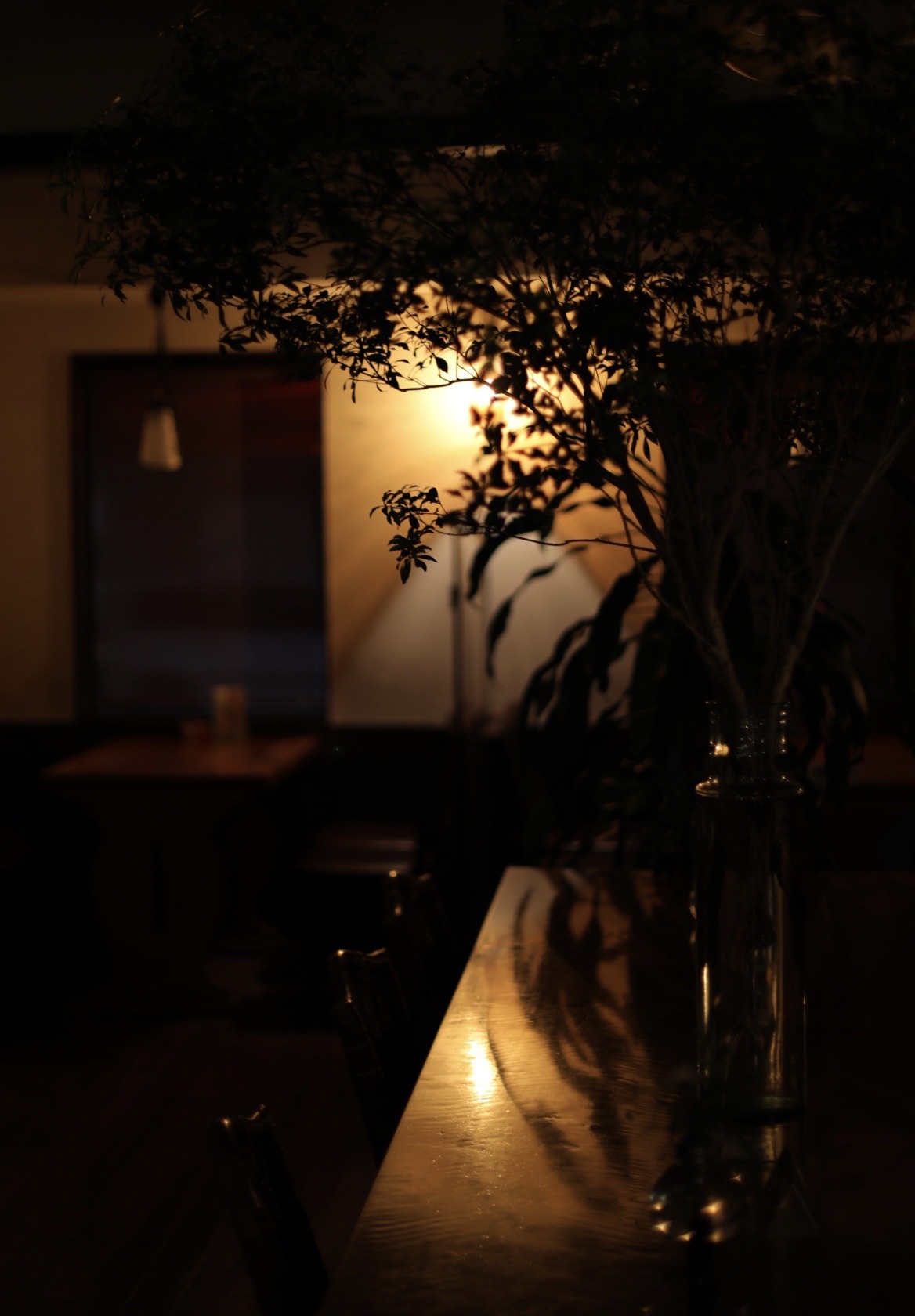 1E11871D-7780-4A8B-B2EB-164FF3597529.jpeg