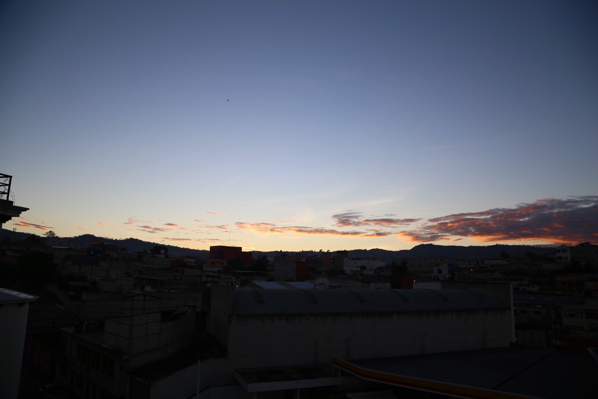 1ECD3F86-6F1D-4249-86E1-1779CA740E1B.jpeg