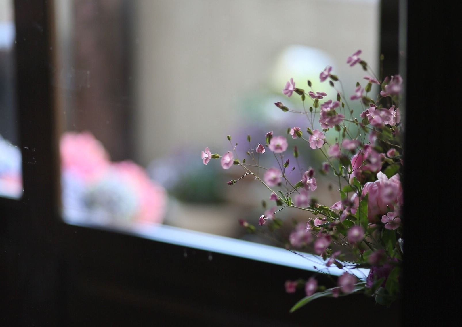 202B05FD-F775-4CB5-9CF0-A4EC5CBF590A.jpeg
