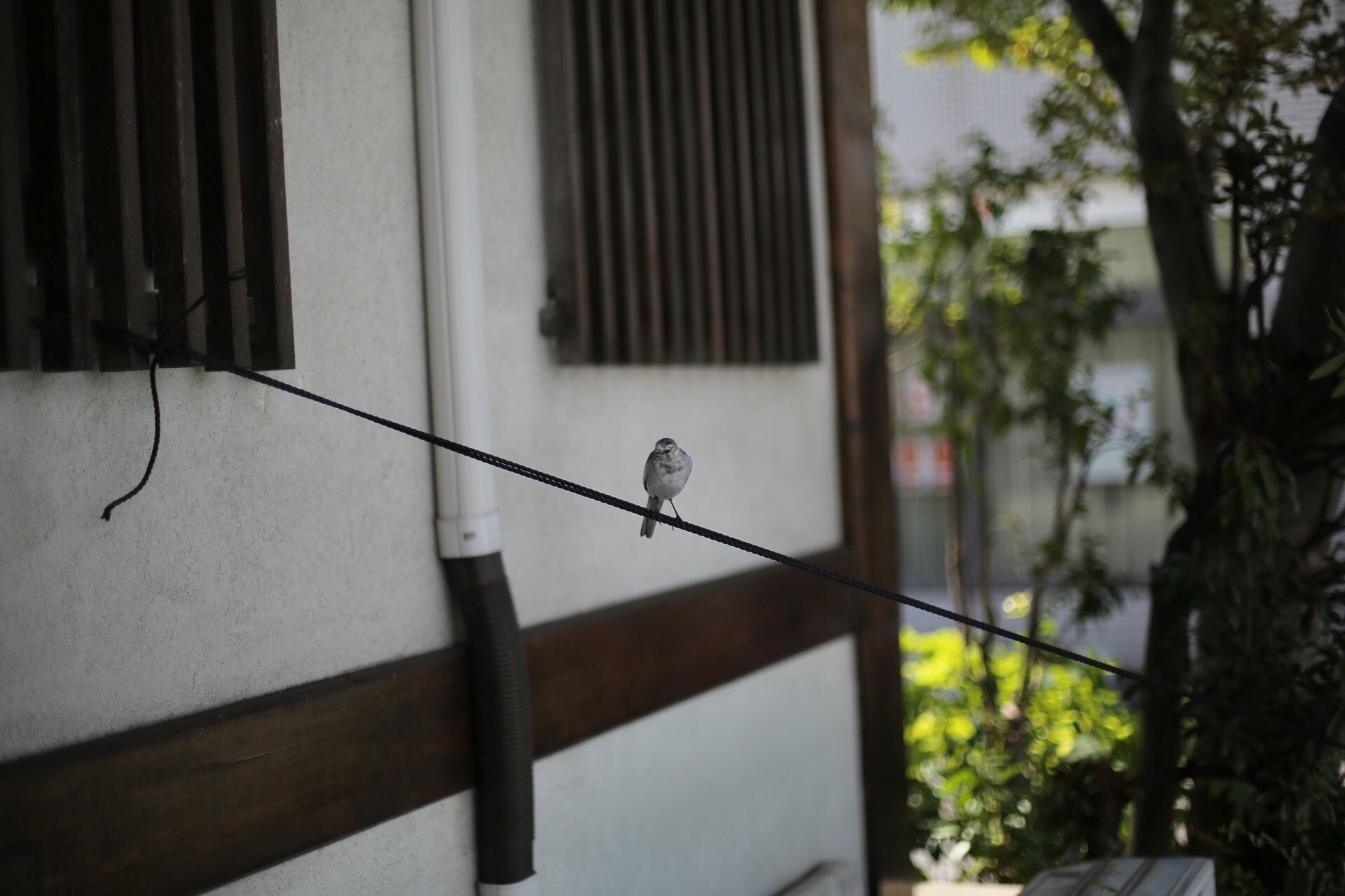 2276BD41-2961-44E4-AF08-8EDCB3911075.jpeg