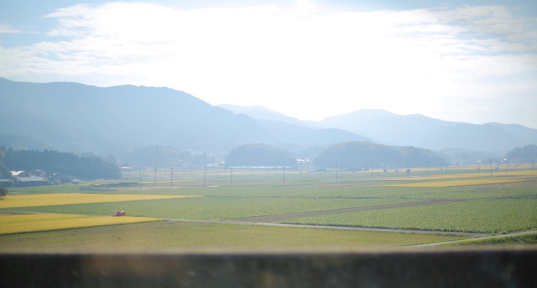 240047AB-B301-4741-9C74-9CF497C5A67B.jpeg