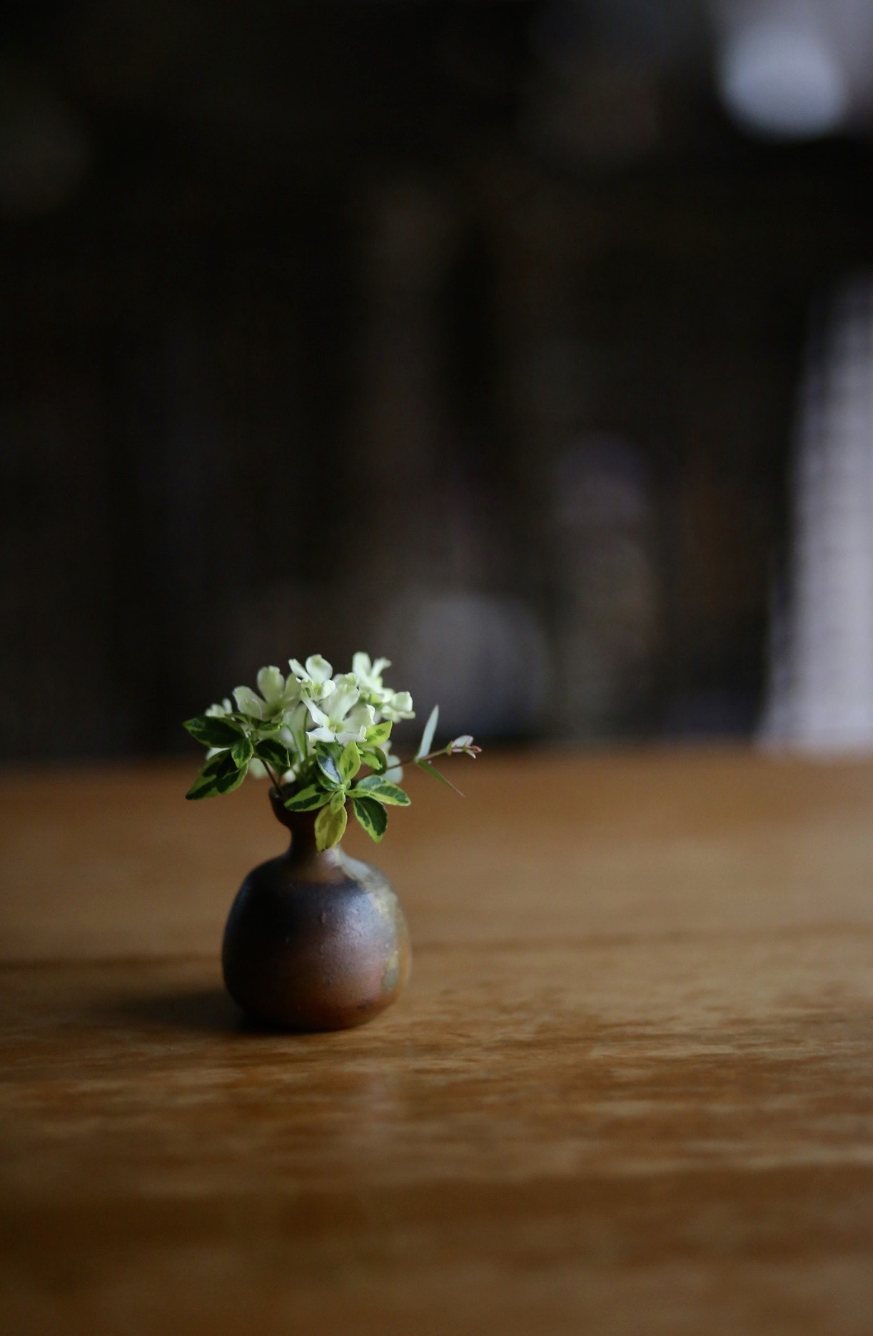 281099CA-F833-4872-A77A-7756E5FE0228.jpeg