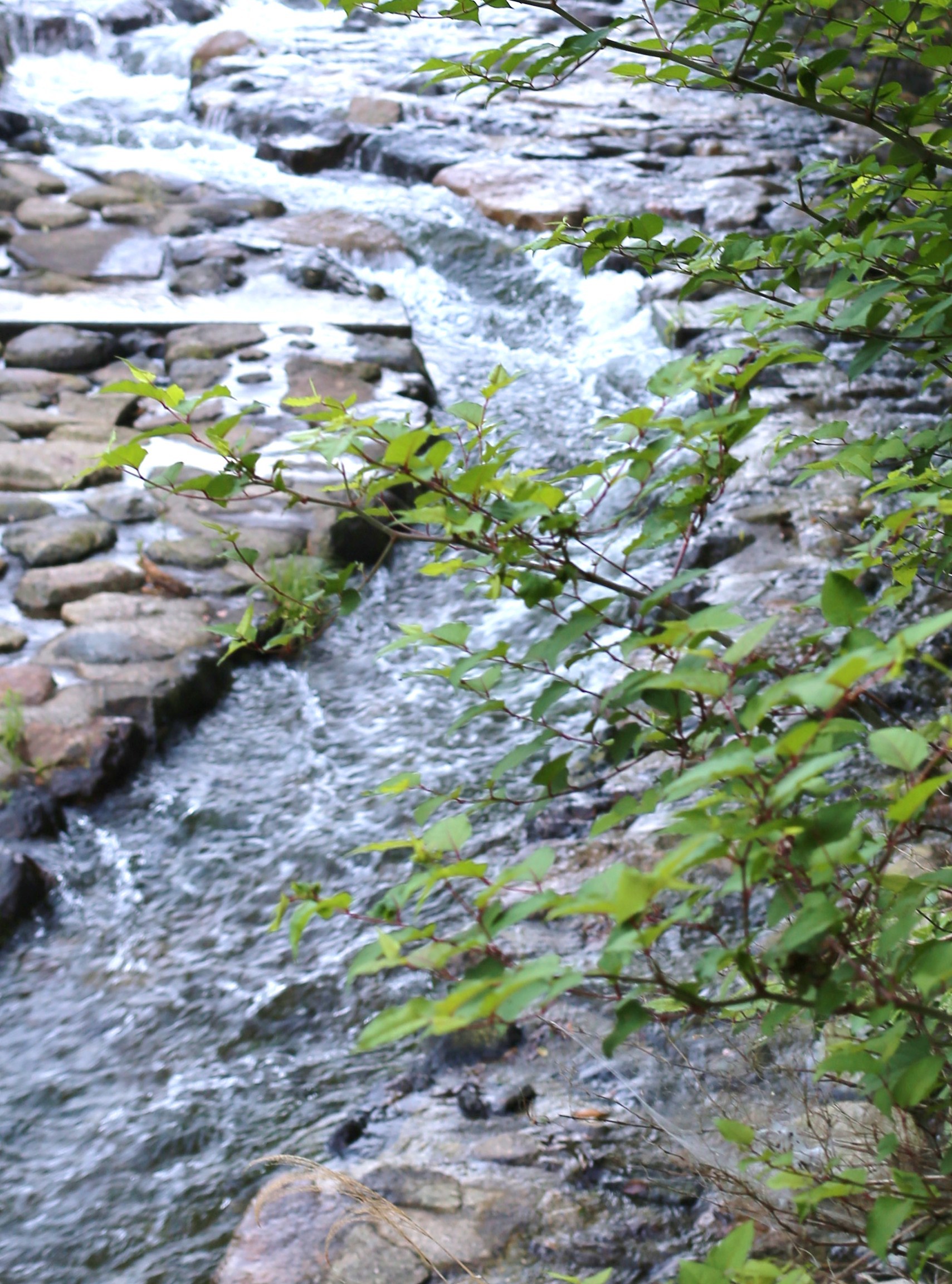 2E282EEA-B835-4949-9B48-6D46B9FD3A0D.jpeg