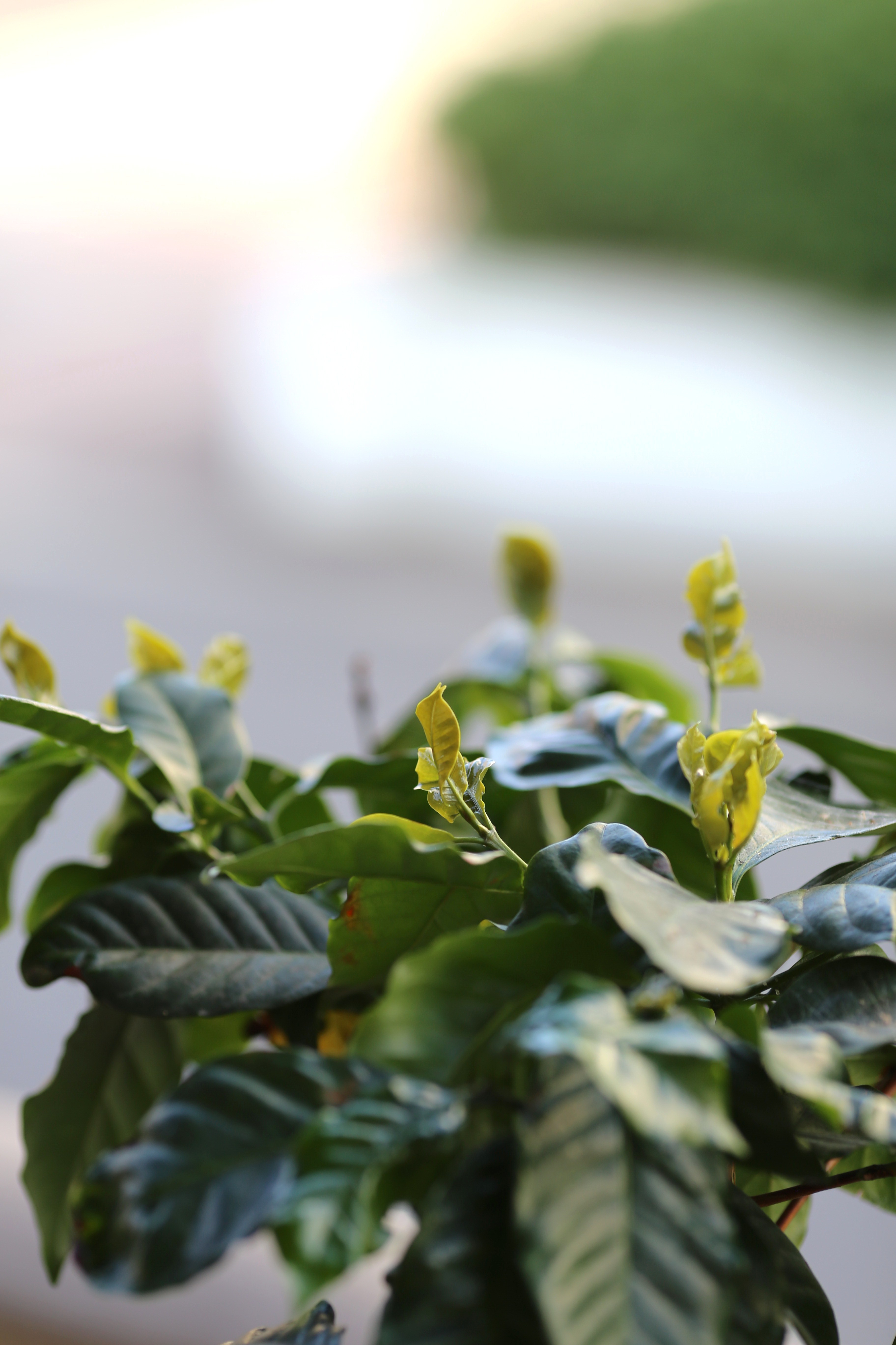 2F862707-C916-4227-8D74-689A636EE059.jpeg