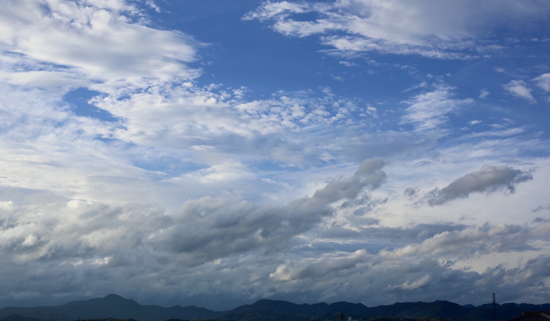 331A2E45-14BD-4809-A404-E07AA59BFFA8.jpeg