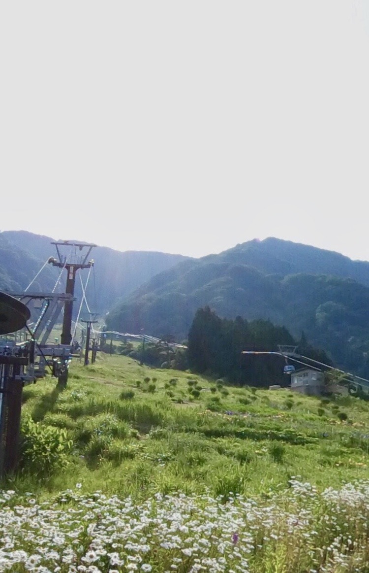 350BB54E-6A3C-419A-885C-7B1B7176A5A3.jpeg