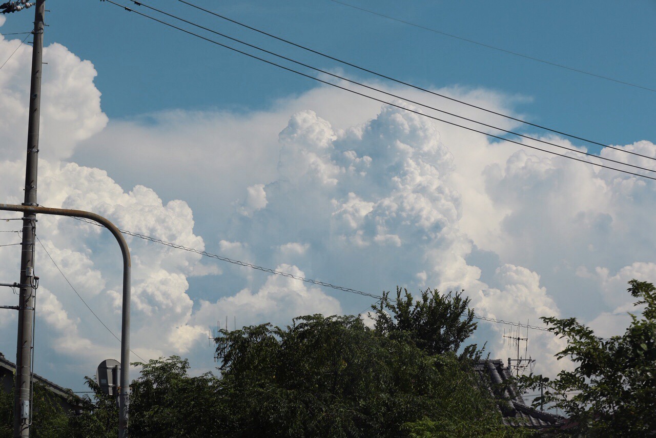 37611147-FCFA-4141-9089-586CD55CB8E5.jpeg