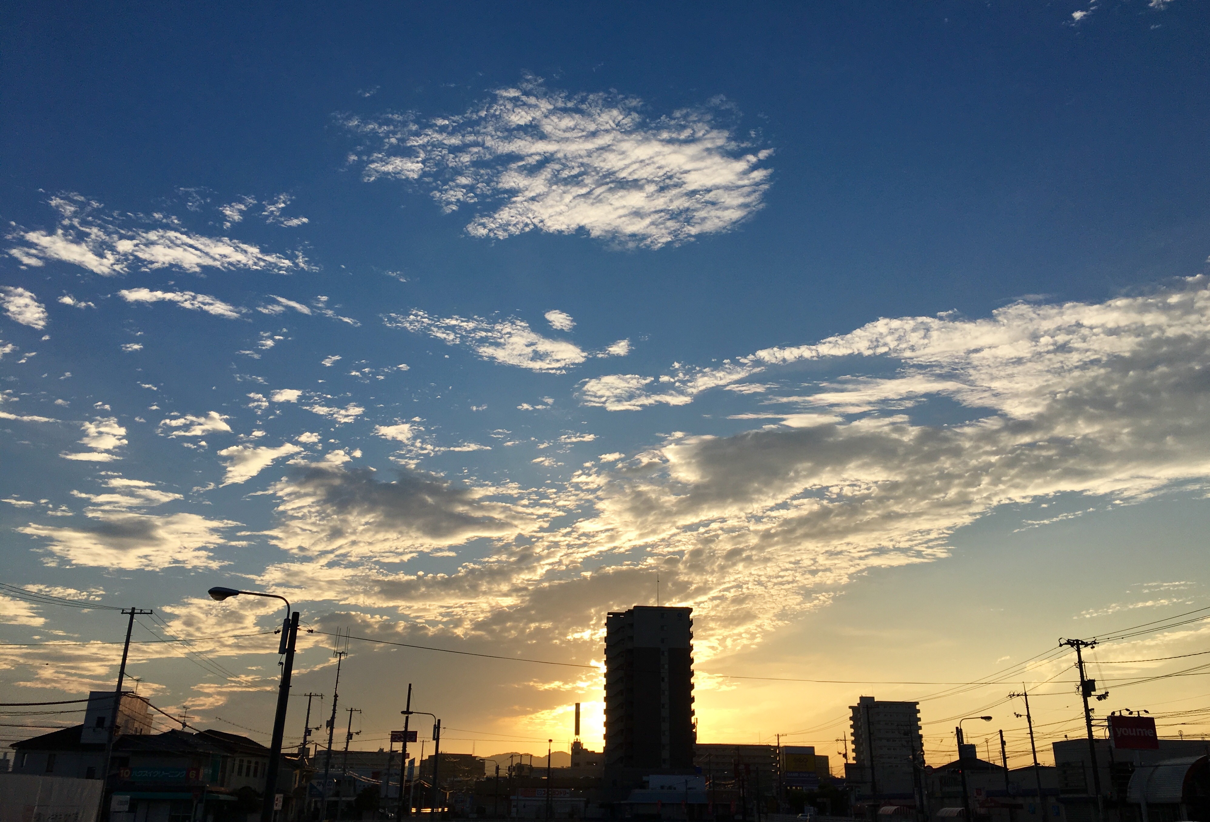 3864B90A-04DF-481A-A2D2-96FE2323FC7E.jpeg