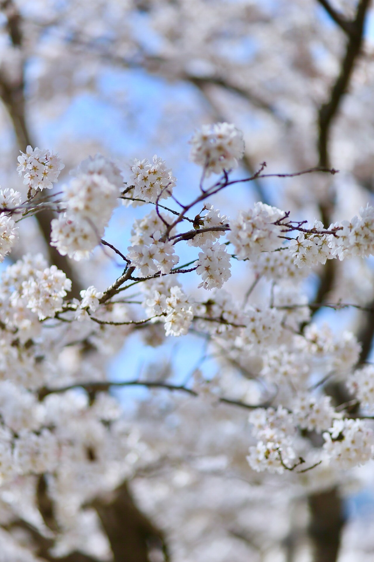 3A25658F-D8CB-4C6E-84A5-902582FC487B.jpeg