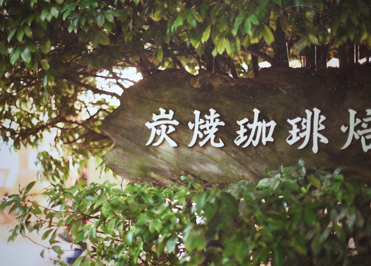 3BA9F3B0-236B-49DE-8D3D-0104EBEB560A.jpeg