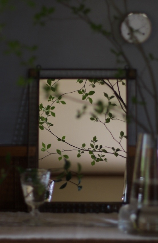 419A71DA-5A51-4817-A5D6-4031B90385C2.jpeg