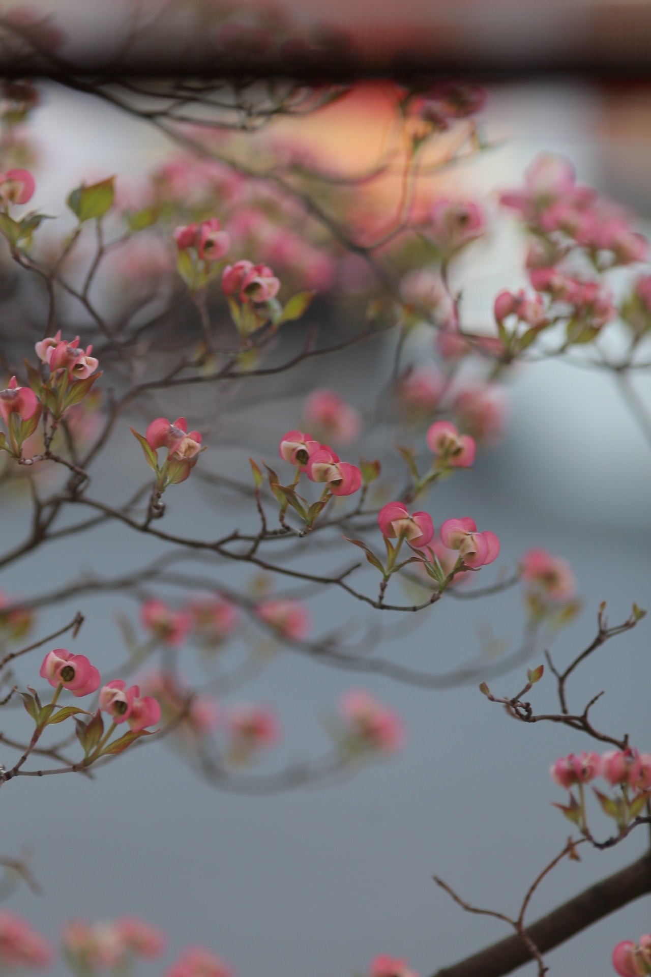 41A33BFA-4A2A-4A88-868D-7712EFEB1982.jpeg