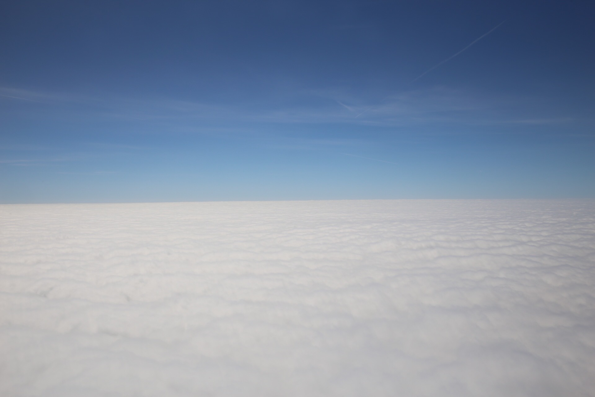 46620D01-7A06-4B0A-ADF4-A6548F445745.jpeg