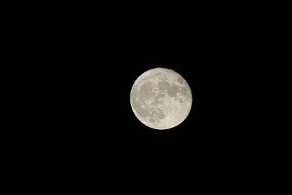 4871F09C-14BA-43F7-A2C6-CAE01F953958.jpeg