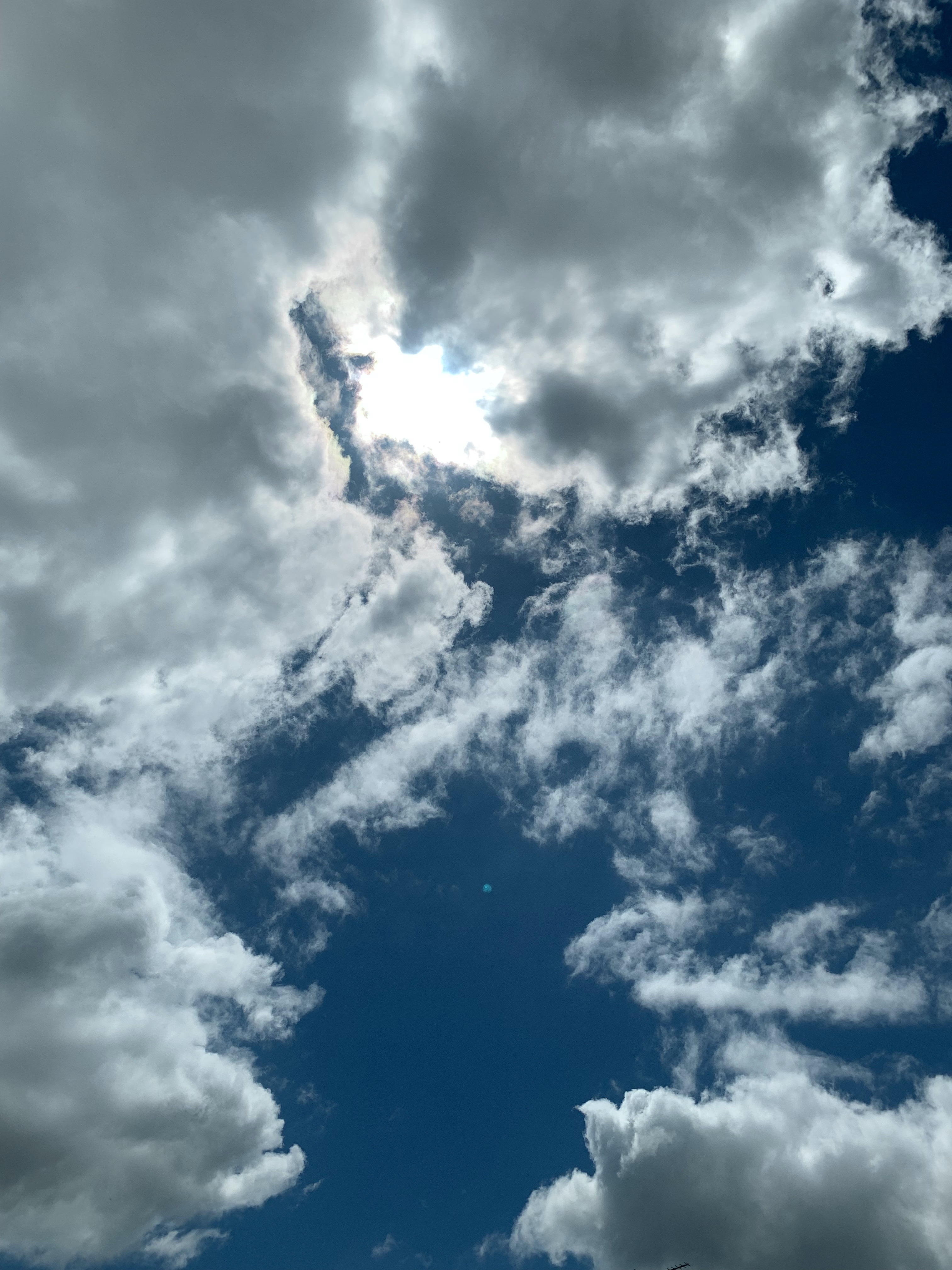 4A78C270-4863-4F93-B54D-7C0681518B57.jpeg