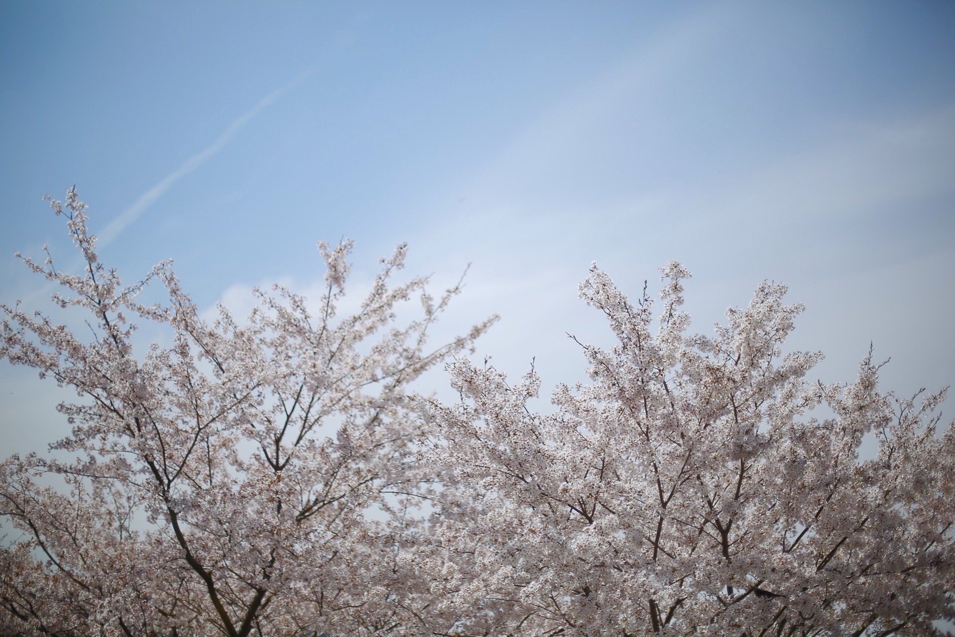 4E90A741-1BC2-4761-B8E9-996E95413897.jpeg