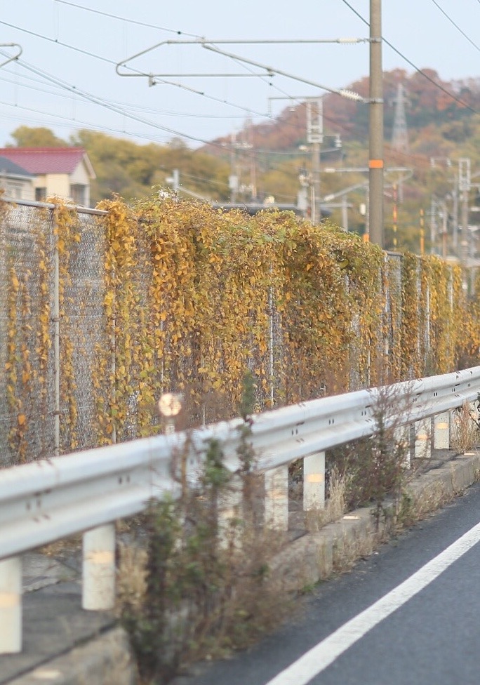 4E960159-EAC7-43B8-921B-60911C764B26.jpeg