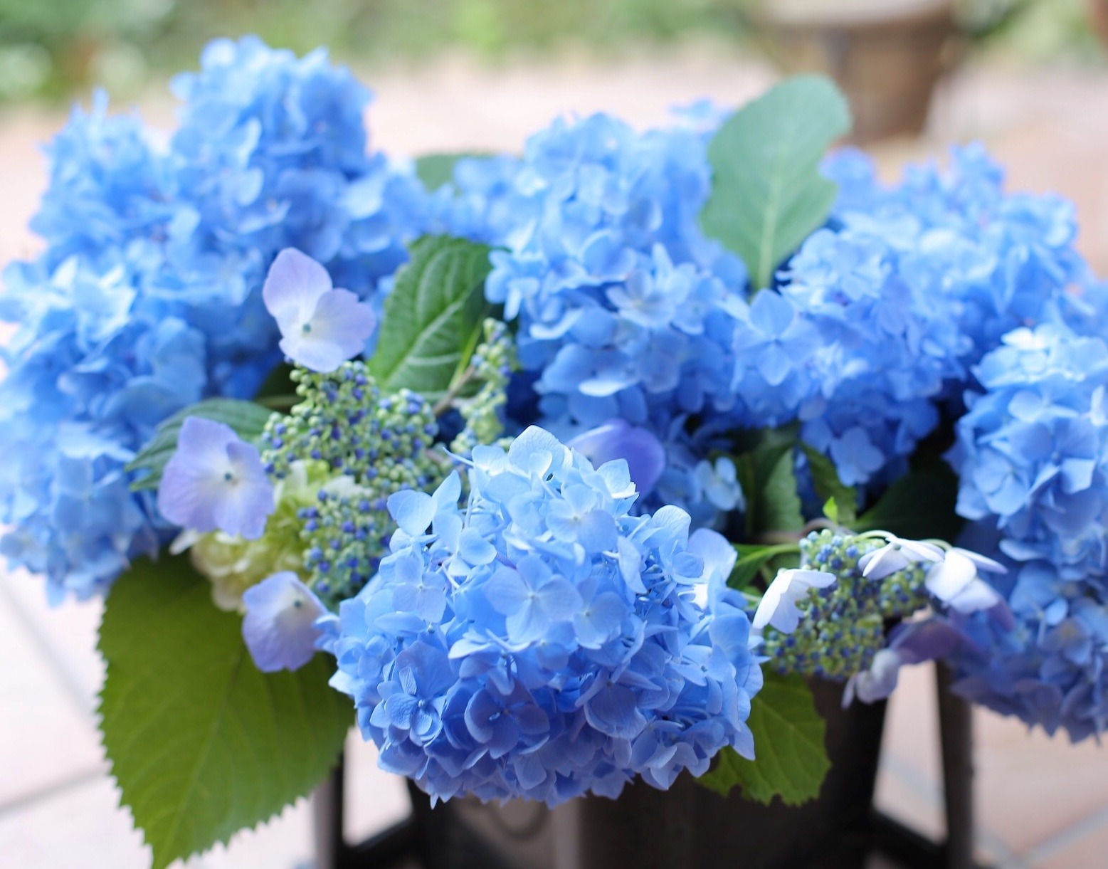 56D04165-7A04-4FEF-A301-1EBB9D20F404.jpeg