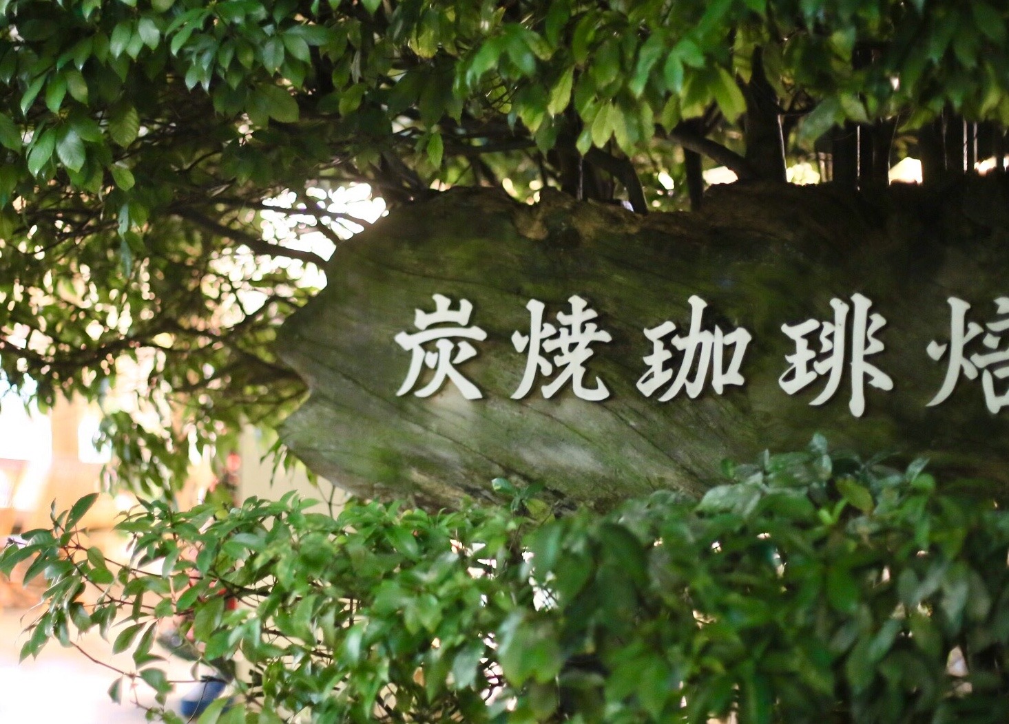 5C844F29-68EF-41EB-9A06-DF97C187ED6E.jpeg