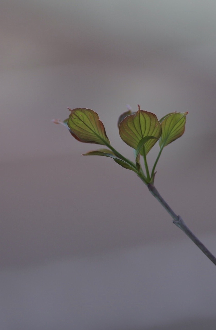 5DE045CF-994C-47B3-84DB-213CB56C7DF6.jpeg