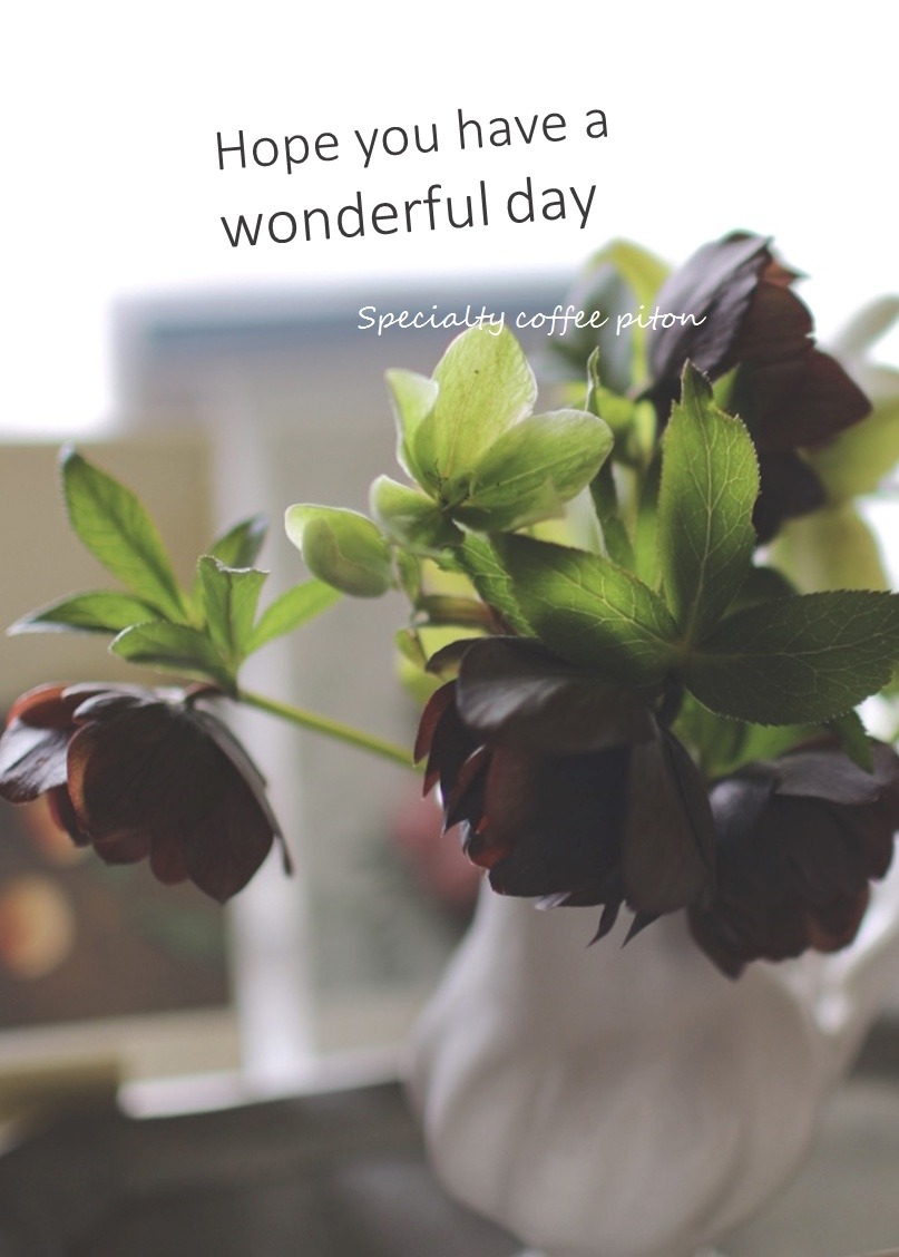 601C0E8C-5FE6-4920-B2AE-0EF1352918F7.jpeg