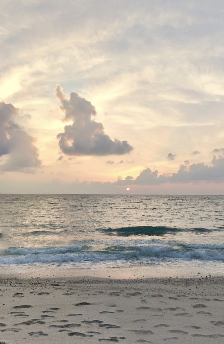 653A1873-6BEF-47BA-B0CF-2B940D1E86EA.jpeg