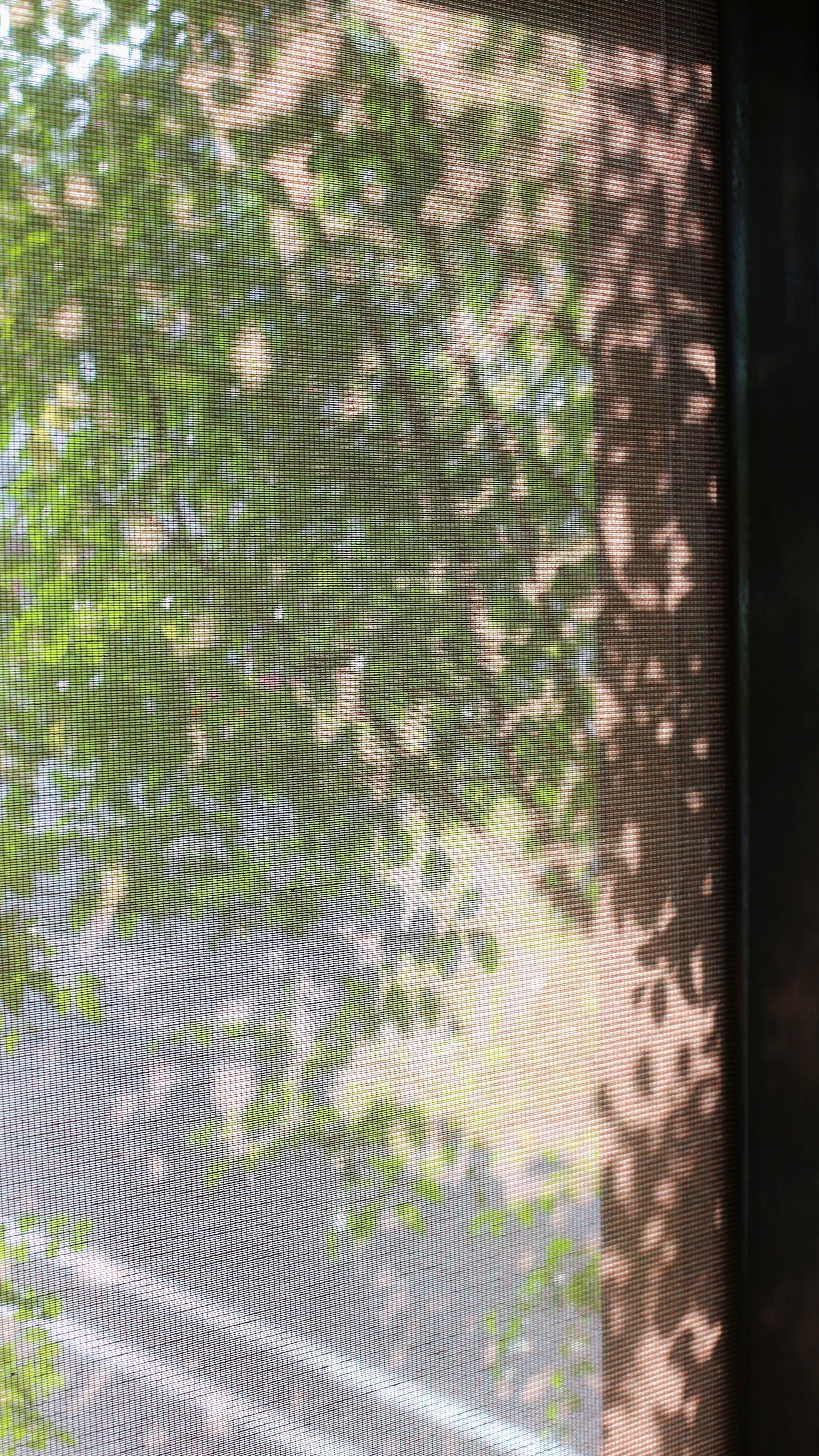 6FA04379-EAD2-408B-922B-BF056E3F2774.jpeg