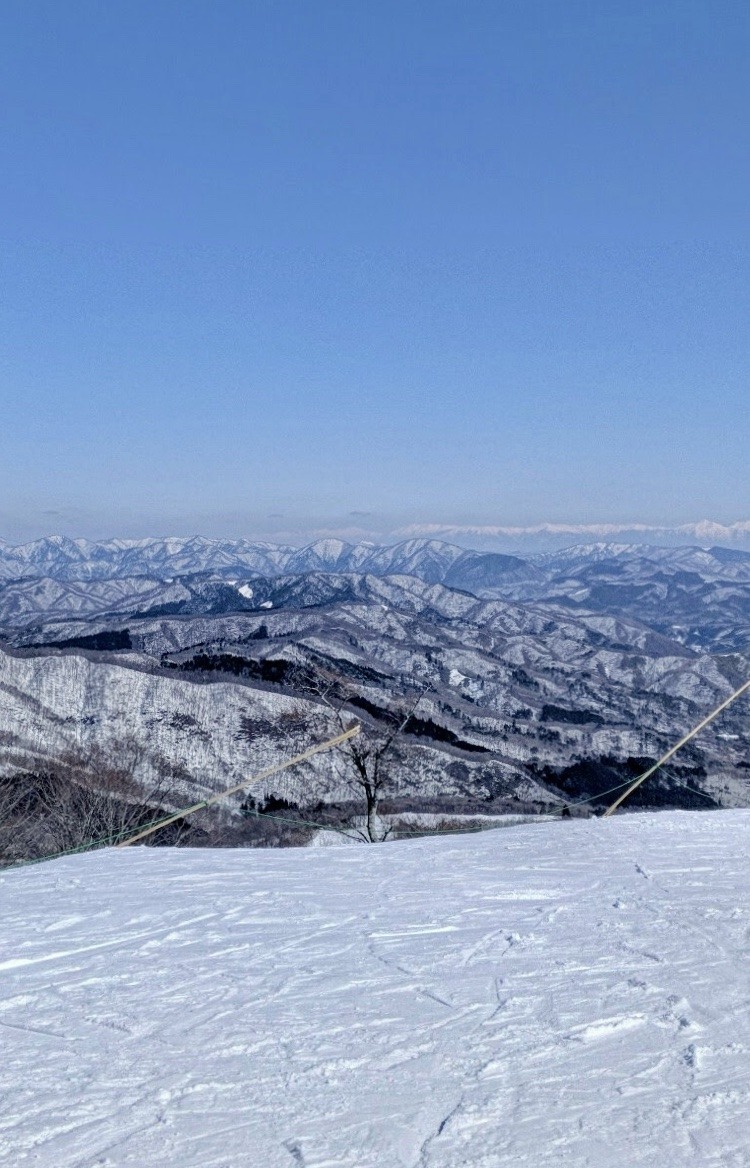 734CA3B1-59E7-4DAE-886B-6B32121ABA6A.jpeg