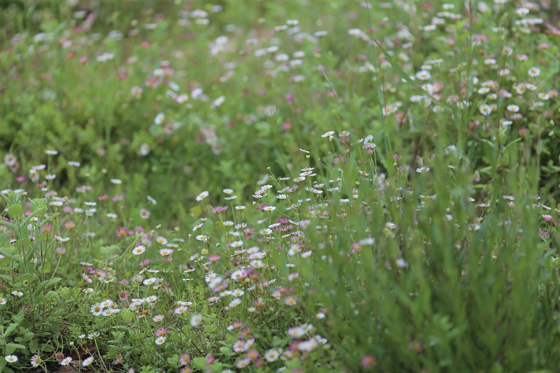 73F84931-225A-4897-BE19-7F8DBDC5467E.jpeg