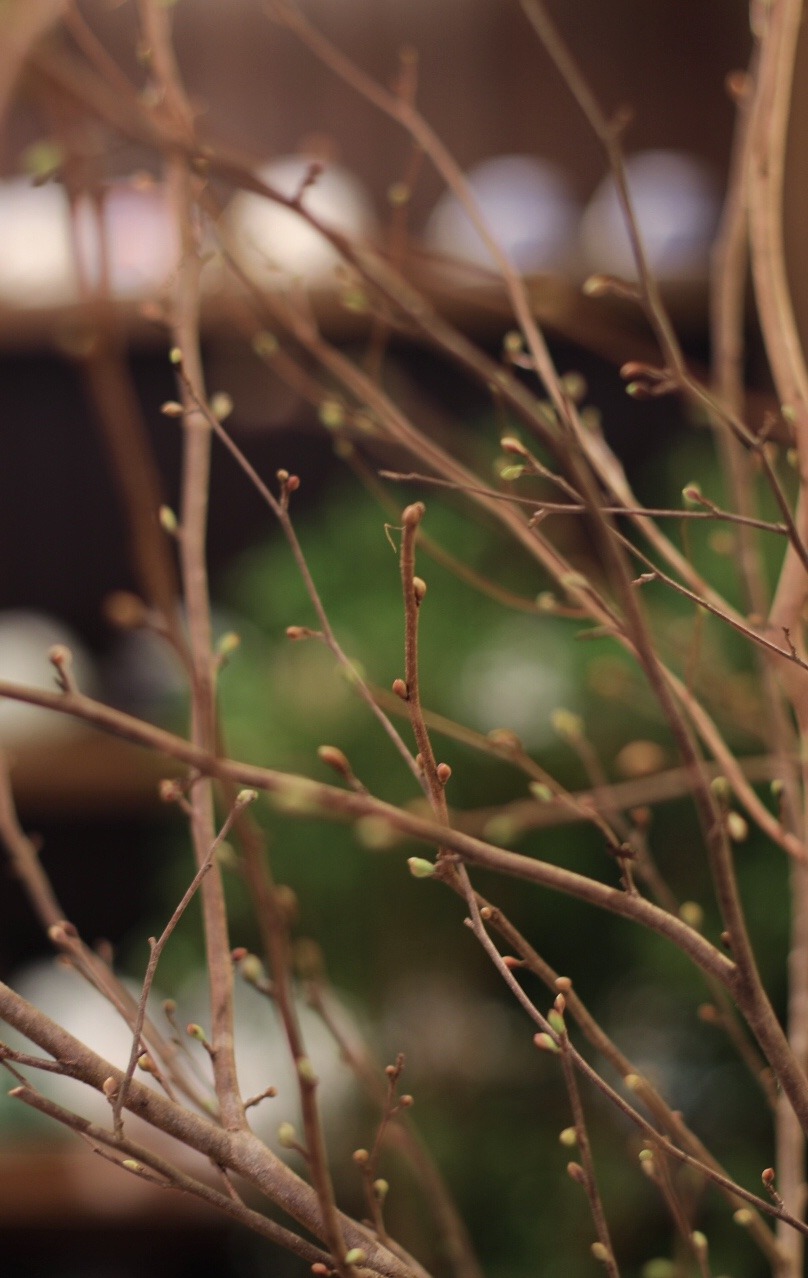 7A09224D-AB2B-4CAB-937F-830FD8C4C24B.jpeg