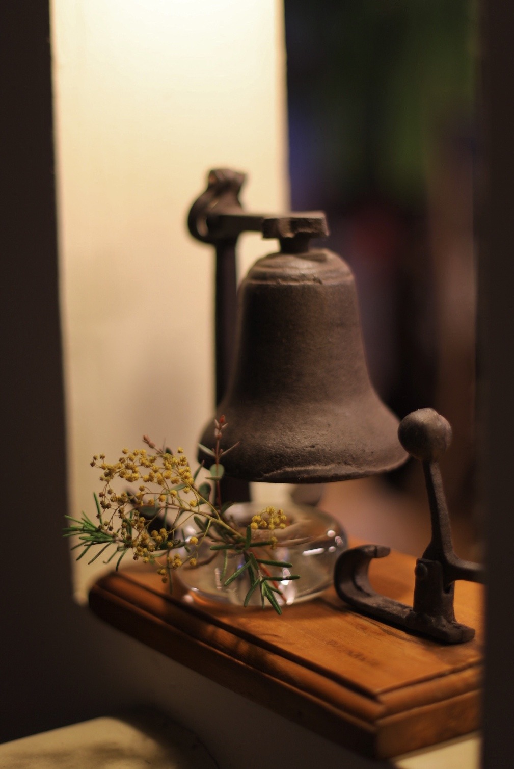 7B088876-12E4-49AB-B3C6-DCD49F11DD28.jpeg