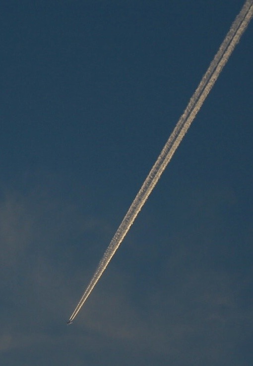 7D91F451-A827-4DCA-8857-648D30FB1D9B.jpeg
