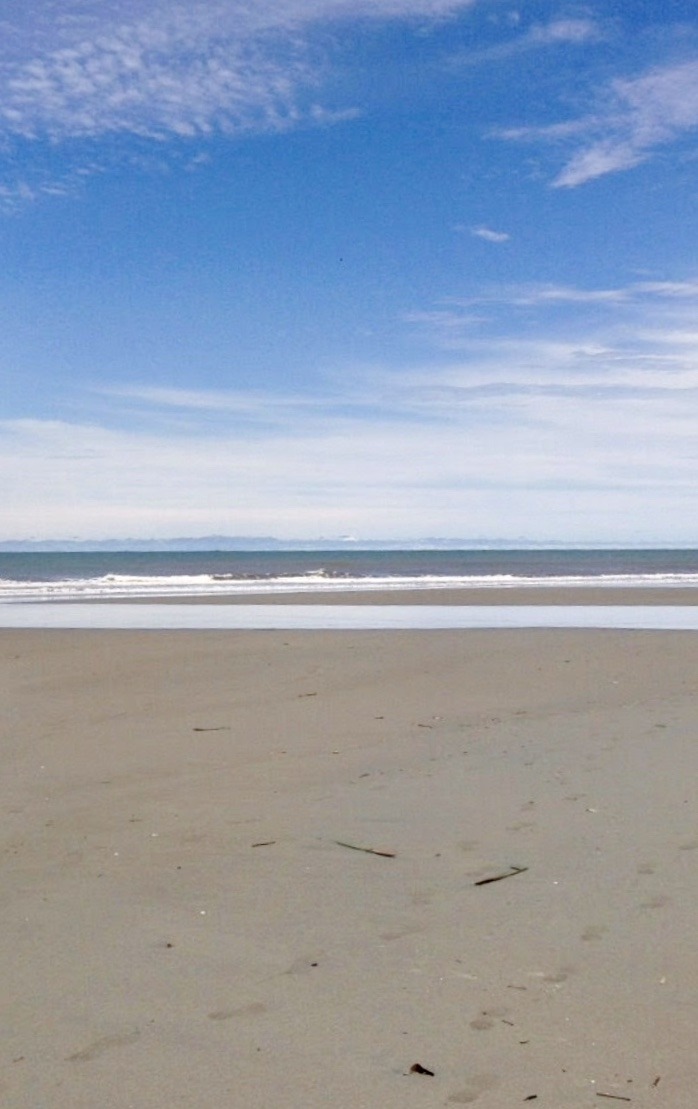7F0643C6-2738-4F71-A98D-FEB3800CE2D6.jpeg