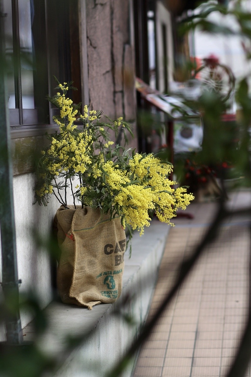 7F566098-23BA-4840-88B3-5286DDB1B03C.jpeg