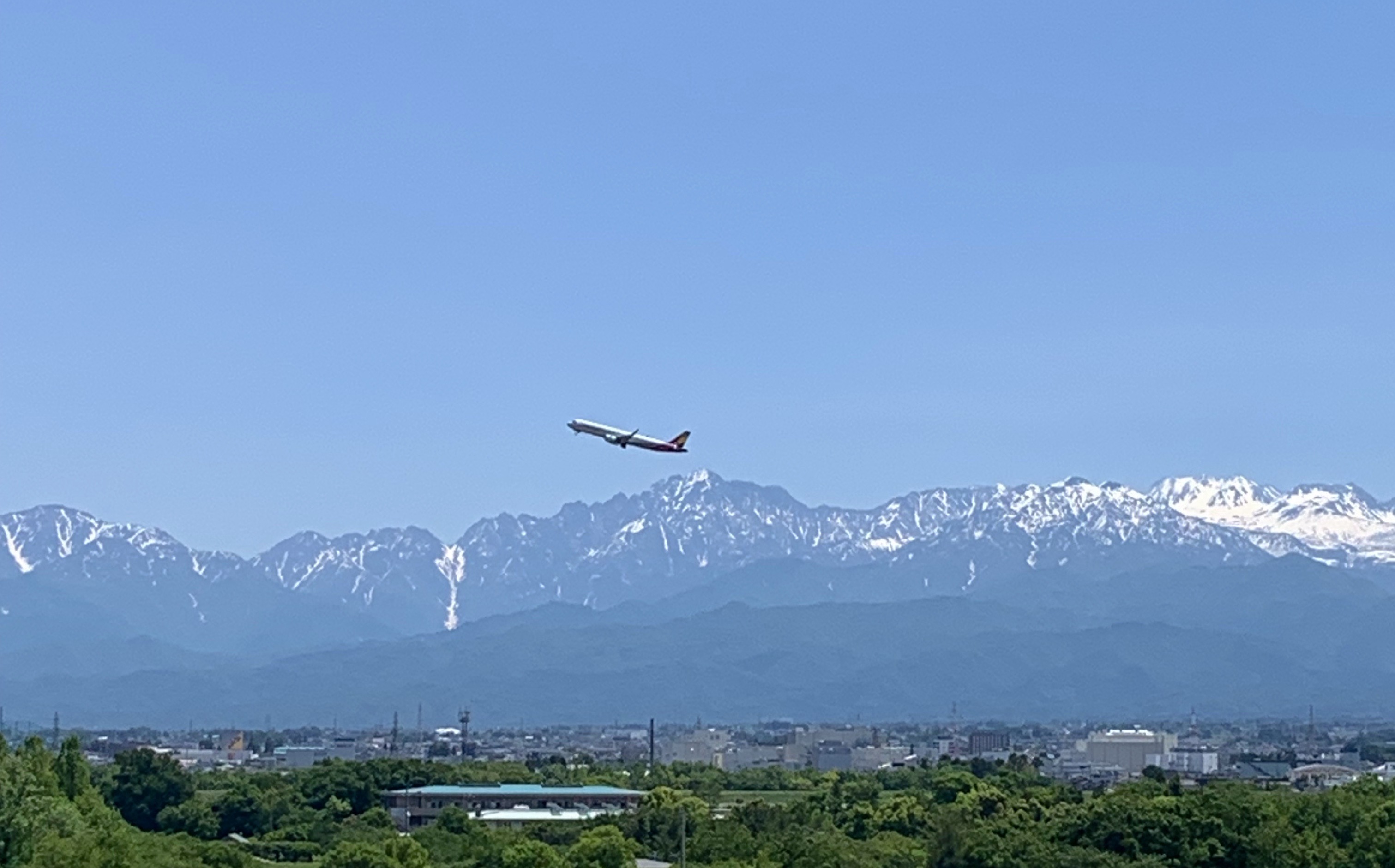 8175E5FA-81CA-4385-A10D-BD7EC980C5E2.jpeg