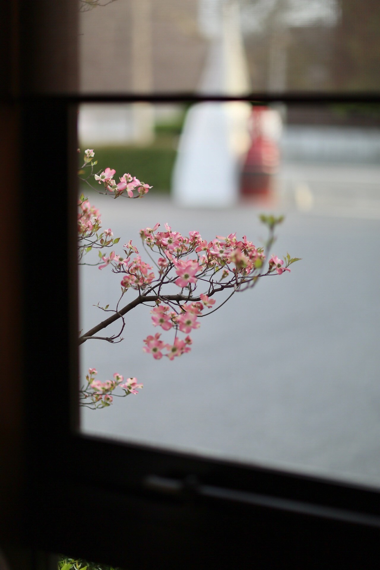 821D651C-FA93-4FF9-96F7-246ECFBDA671.jpeg