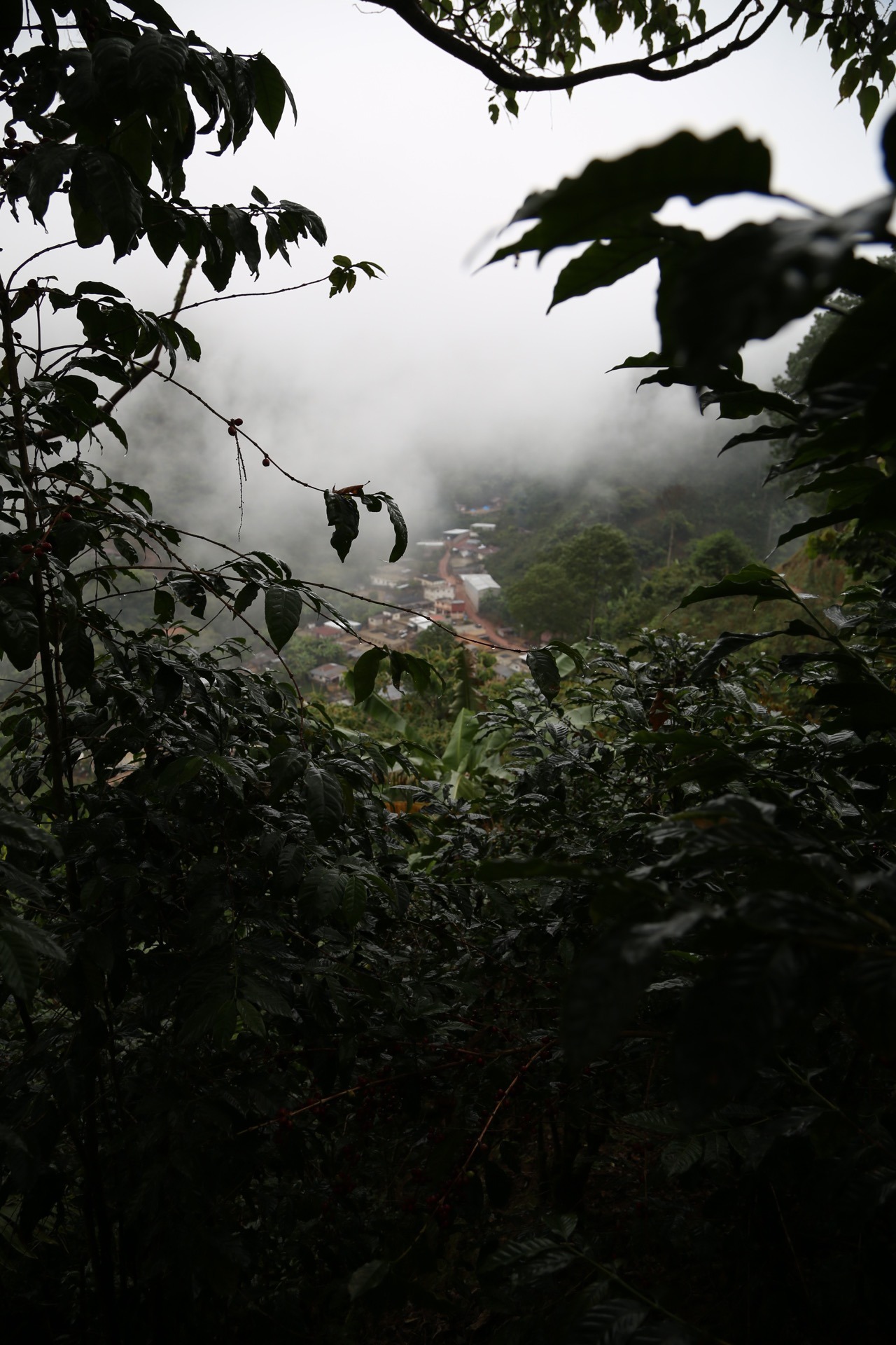 828AE1EA-AB3C-4712-992A-C08D419108D6.jpeg