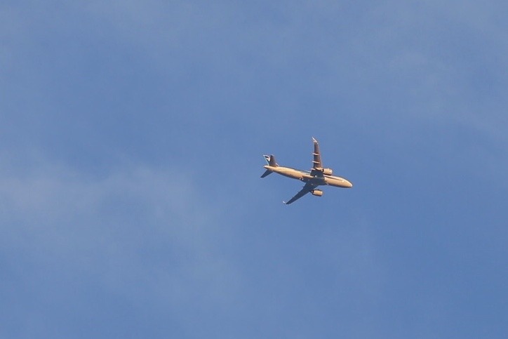 84EC333D-C36A-4FFB-A85D-72F5325DB621.jpeg