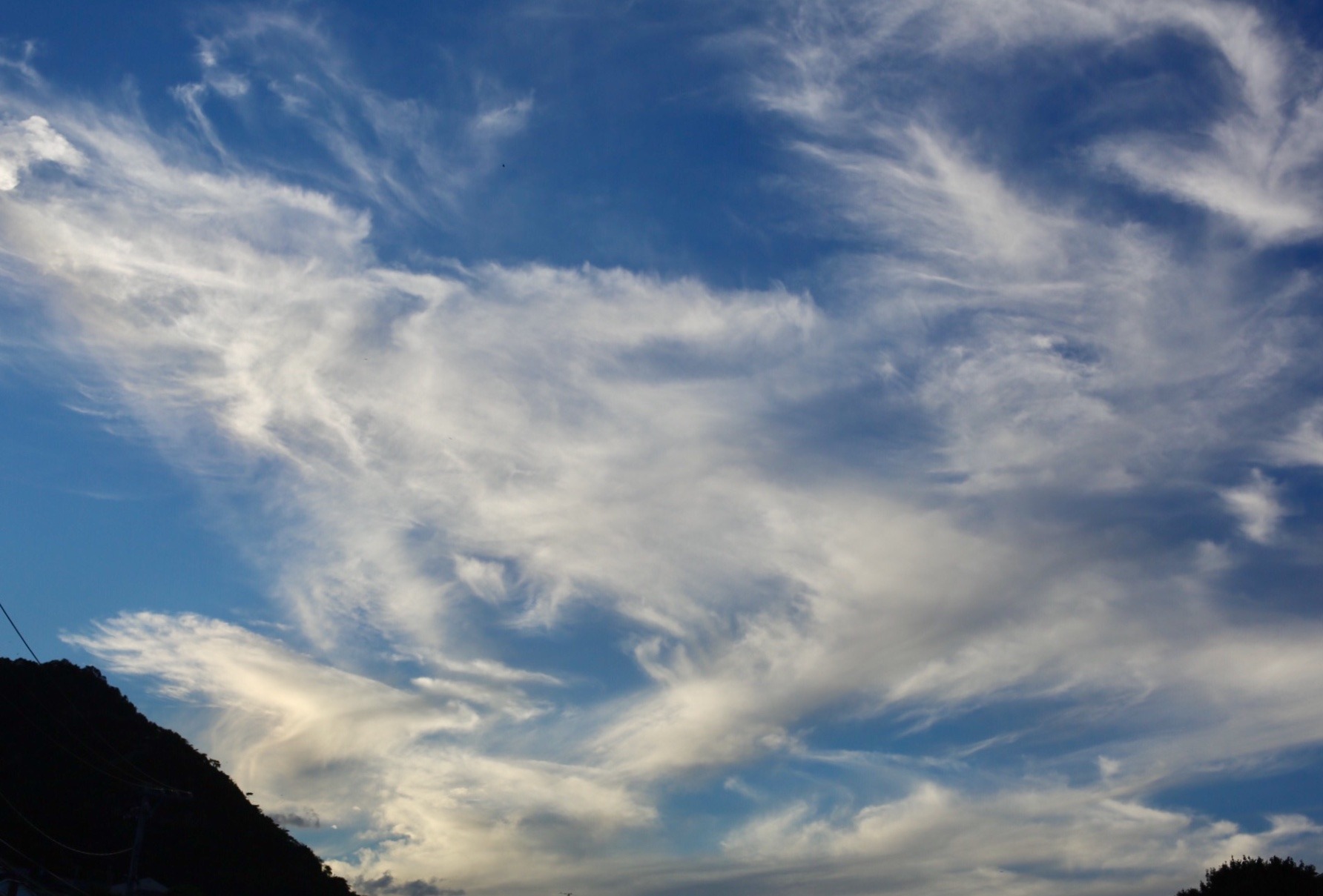 9070008A-B549-4669-8DDA-838B28064BF8.jpeg